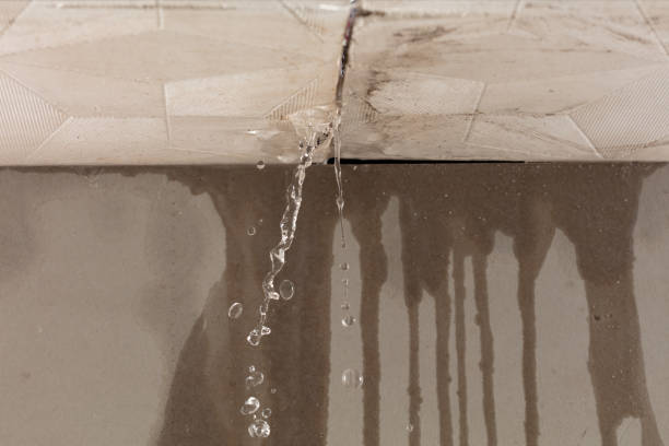 Professional Water Damage Repair technician working in Panama City, FL